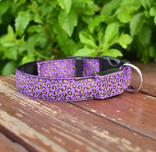 LED Dog Collar Safety Adjustable Nylon Leopard