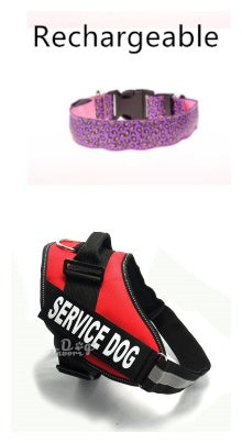LED Dog Collar Safety Adjustable Nylon Leopard